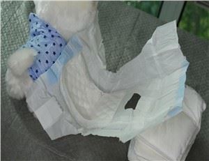 Atacado Fralda Descartável para Pet Super Absorvente Fraldas Descartáveis ​​Macias para Cachorro Gato de Estimação