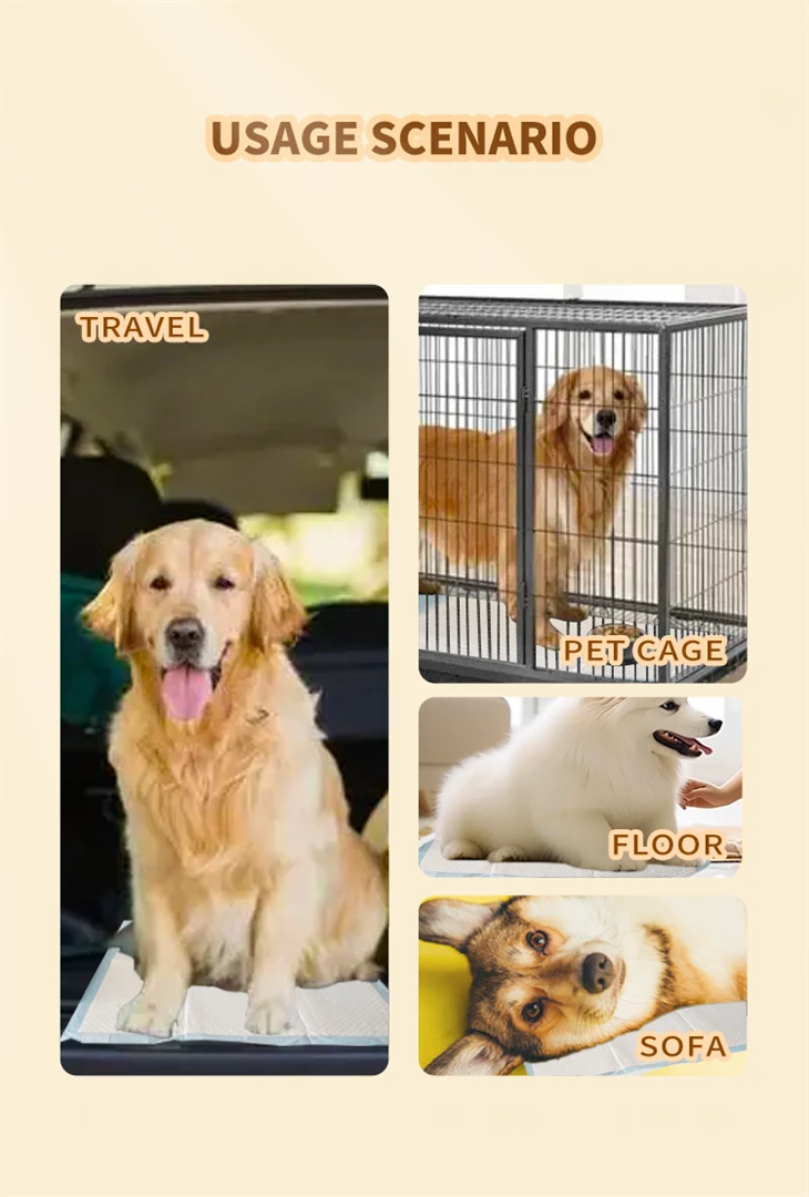 HUSHPET Antibacterial Disposable Dog Toilet Pad