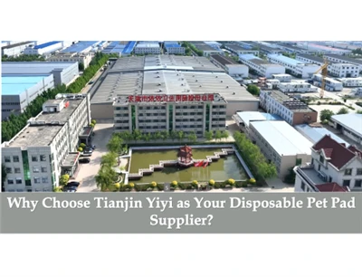 Por que escolher Tianjin Yiyi como seu fornecedor de almofadas descartáveis ​...