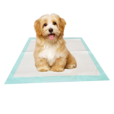 Almofadas de xixi descartáveis ​​antibacterianas para cães