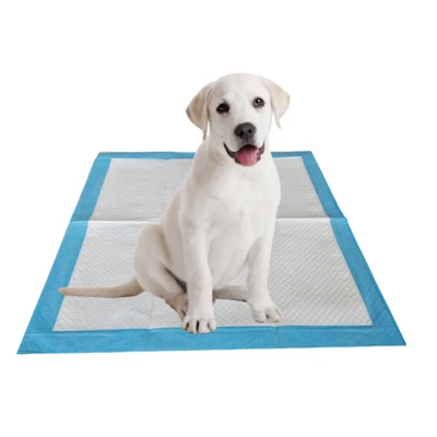 Almofadas descartáveis-para mastigar e fazer xixi para cães