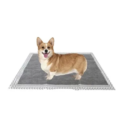 Tianjin Yiyi Disponíveis de absorção de carbono para cães